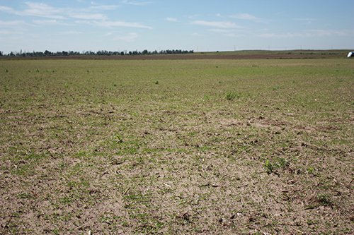 Property photo 41 - LAND AUCTION, 3255+/- Acres offered in 13 Tracts